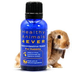 HA4E rabbit GI stasis bottle front for natural digestive support.