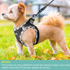haapaw 360 reflective strips enhance visibility during night walks.