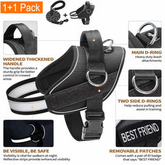 Haapaw Harness showing 3 leash clips for versatile attachment points
