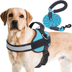 Haapaw essential dog harness with 3 leash clips for versatile walking