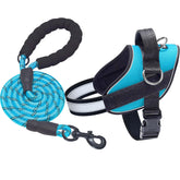 Haapaw Essential Dog Harness front clip for controlled walking and comfort.