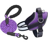 Haapaw Essential Dog Harness closeup in purple, highlighting durable nylon and reinforced stitching.