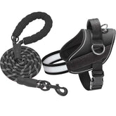 Haapaw Essential Dog Harness with no-pull design for better walks and control
