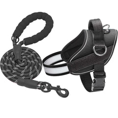 Haapaw Essential Dog Harness with no-pull design for better walks and control
