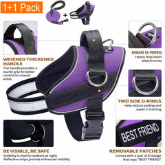 Haapaw Essential Dog Harness reflective nylon improves visibility at night