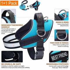 Haapaw Essential Dog Harness three-ring design offers versatile leash options.
