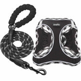 haapaw harness and leash set shown for convenient all-in-one purchase.