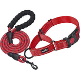 haapaw martingale collar with quick-release buckle offers training control on walks.