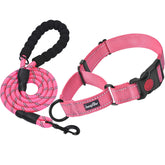 haapaw martingale collar with quick release buckle for easy on-off during daily walks.