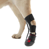 HAGGEMI Strap-On Drop Foot Brace lifts the front paw and stabilizes gait.