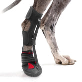 HAGGEMI strap-on drop foot brace front view on a dog paw for stable footing