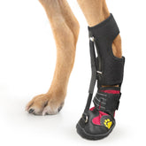 HAGGEMI Strap-On Drop Foot Brace front view provides stable lift for dogs with foot issues.