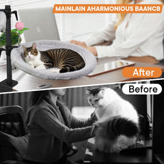 Haijunnm Double Cat Desk Bed with height adjustment for eye-level comfort