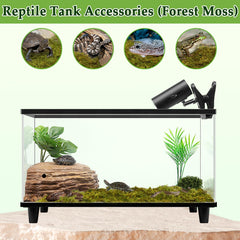 Halatool natural sphagnum moss contains no dyes for safe reptile habitats.