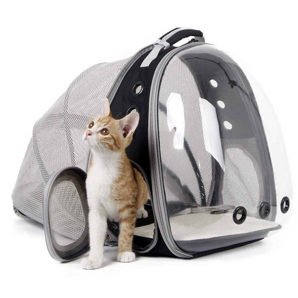 halinfer back expandable cat backpack carrier with front bubble window for cat curiosity and visibility