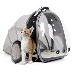 halinfer back expandable cat backpack carrier with front bubble window for cat curiosity and visibility