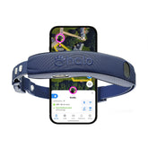 Halo Collar 5 boundary setup outdoors keeps dogs safely contained during outdoor play.