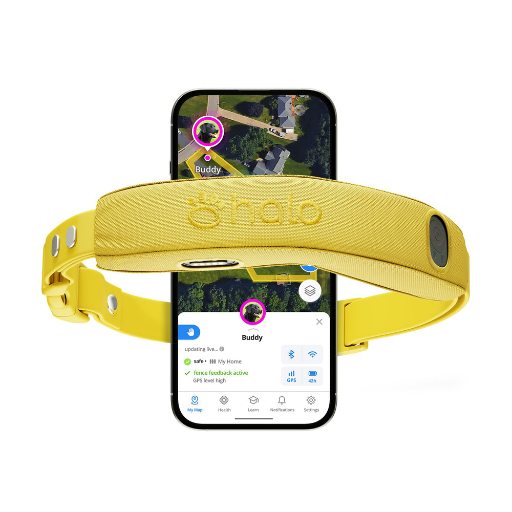 Halo Collar 5 boundary setup demonstrates quick fence creation for outdoor safety.