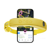 Halo Collar 5 boundary setup demonstrates quick fence creation for outdoor safety.