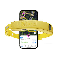 Halo Collar 5 boundary setup demonstrates quick fence creation for outdoor safety.
