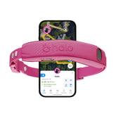Halo Collar 5 worn on dog for secure outdoor containment and freedom