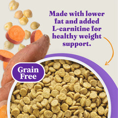Halo Holistic prebiotics-probiotics-postbiotics aid digestive health