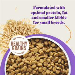 Halo Holistic small-breed brown rice recipe emphasizes digestible grains for steady energy.