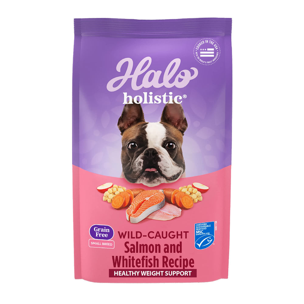 Halo Holistic small-breed dry food in serving bowl supports daily energy.