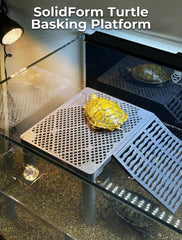 Halomyyth SolidForm built-in feeding tray keeps meals above water for cleaner tanks.