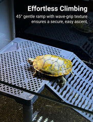 Halomyyth SolidForm non-slip ramp aids confident exits from water.