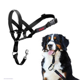 Halti Headcollar with adjustable fit and padded nose band for comfortable no-pull walks.