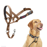 Halti headcollar in desert sand with adjustable straps for a secure, comfortable fit during walks.