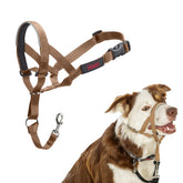 Halti headcollar in desert sand with adjustable fit for comfortable, pull-free walks