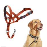 Halti headcollar pull-stopper guides dogs for calm walks.