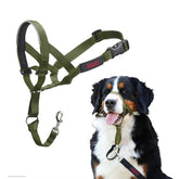 Halti Headcollar forest green overview shows comfortable design for controlled walks.