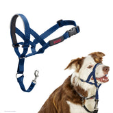 Halti headcollar close-up showing the padded nose band for comfortable training.
