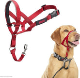 Halti Headcollar with padded nose band for comfortable no-pull training.