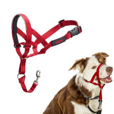 Halti Headcollar with padded nose band for comfortable control on walks.