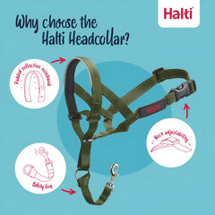 Halti Headcollar padded nose band provides comfort during longer walks.