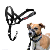 Halti Headcollar padded nose band for comfortable, controlled walks.
