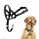 Halti Headcollar pull prevention in action for safer walks.