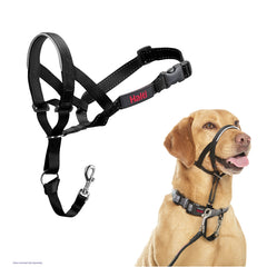 Halti Headcollar pull prevention in action for safer walks.