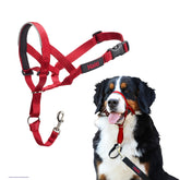 Halti Headcollar front view shows pulling prevention for smoother walks.