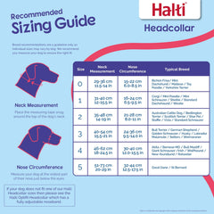 Halti Headcollar reflective accents for safer night walks.