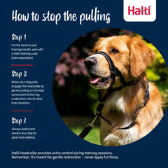 Halti Headcollar reflective accents boost visibility on evening routes.