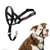 Halti headcollar side view in black size 2 for no-pull training.