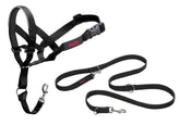 Halti headcollar size 3 showing gentle steering for pull-free walks.
