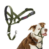 Halti Headcollar stops pulling with gentle steering for calmer leash walks.