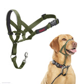 Halti Headcollar stops pulling with gentle steering for safer, calmer walks.