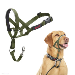 Halti Headcollar stops pulling with gentle steering for safer, calmer walks.
